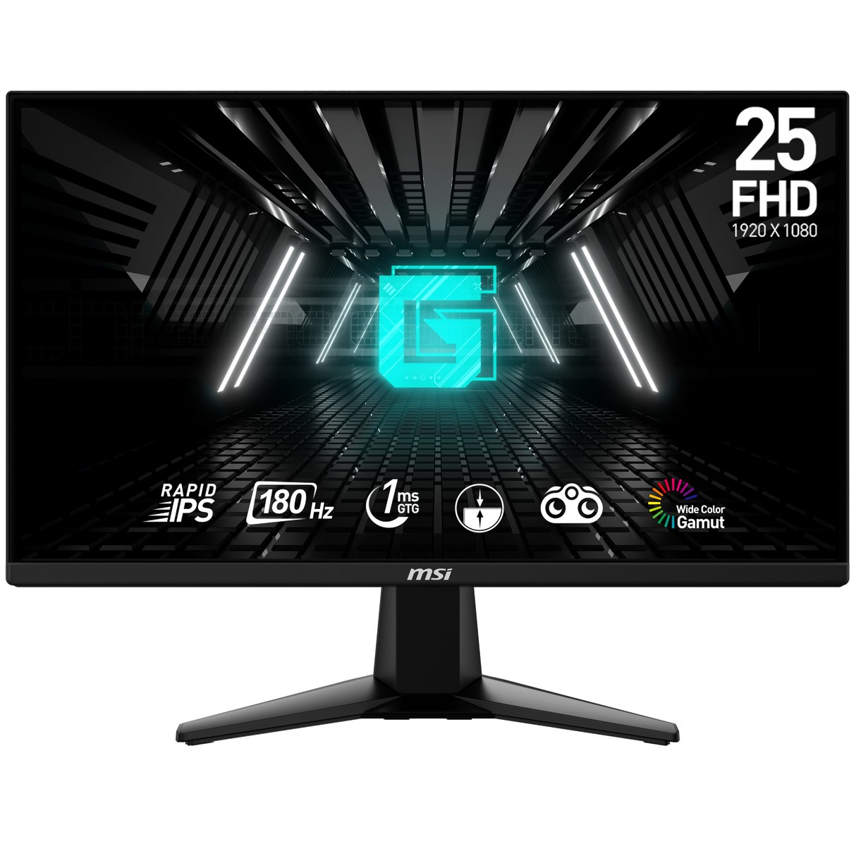 G255F computer monitor 62.2 cm (24.5") 1920 x 1080 pixels Full HD LCD Black