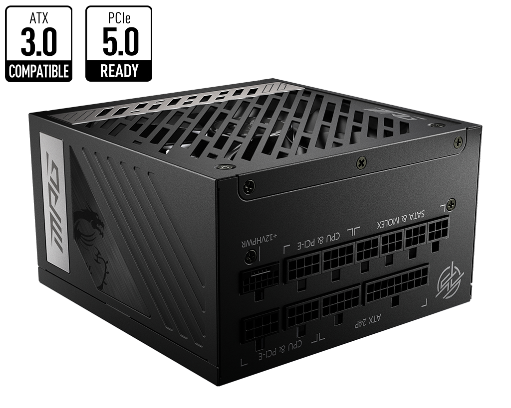 MPG A850G PCIE5 power supply unit