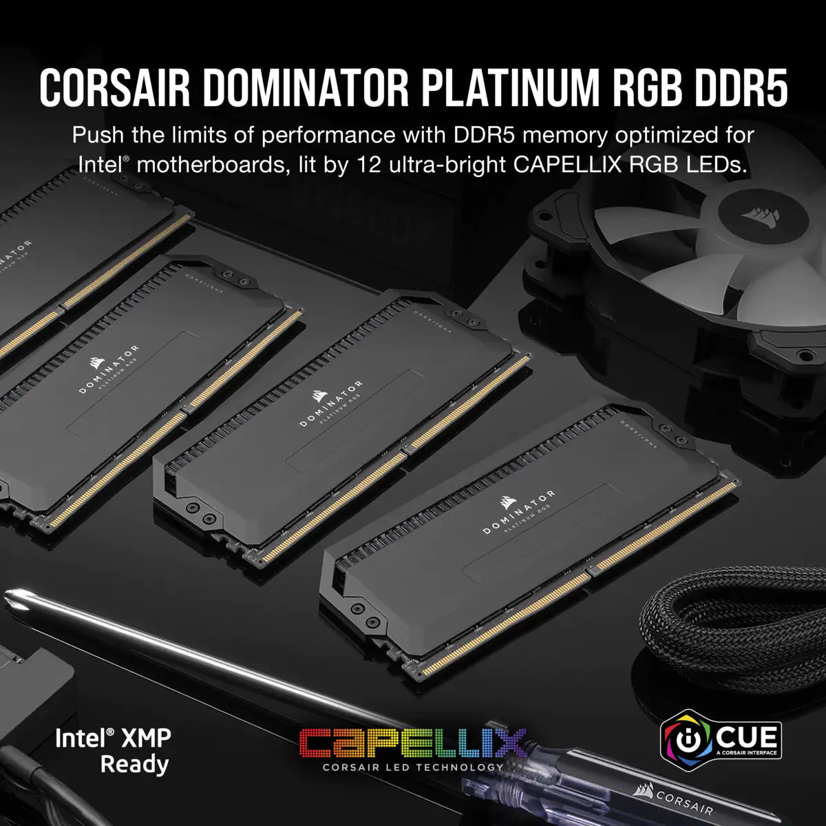 Dominator Platinum RGB Svart 32GB (2x16GB) 6400MHz DDR5